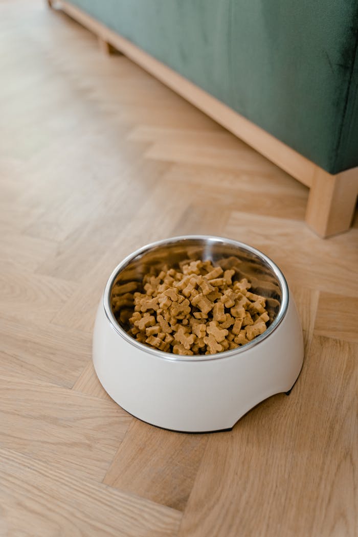 about-01 A bowl filled with dog food placed on a wooden floor, showcasing pet care essentials.